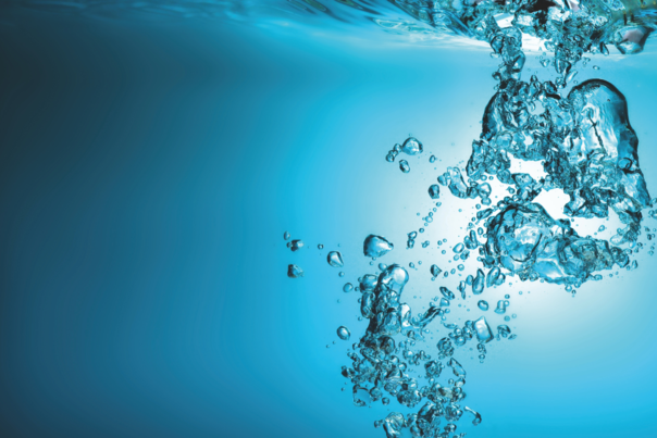 World Water Day 2025 – Let’s Work Together for a Sustainable Water Future